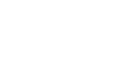 The Experience Company